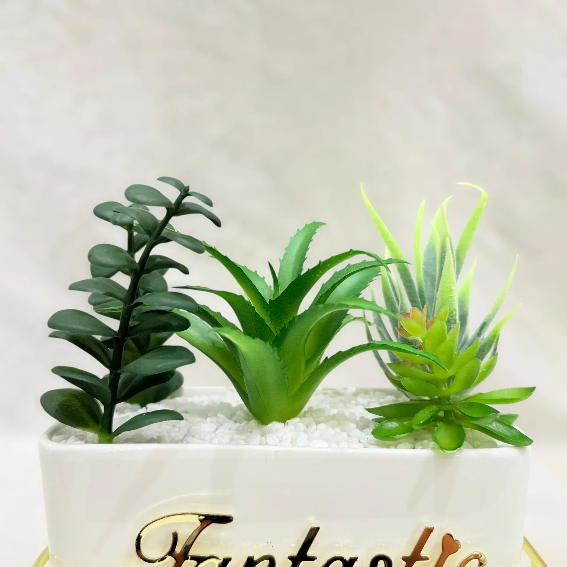 Fantastic Elegance Artificial Succulent Trio with Golden Stand