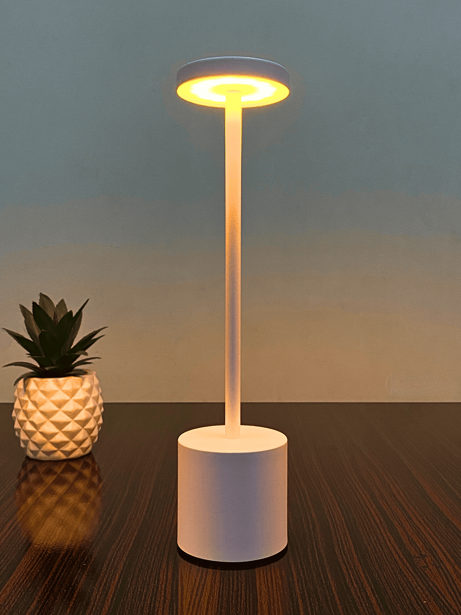 Rechargeable LED Table Lamp – Touch & Dimmable